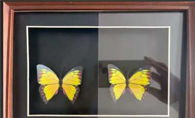 China Eliter Glass Anti-reflektierendes Glas